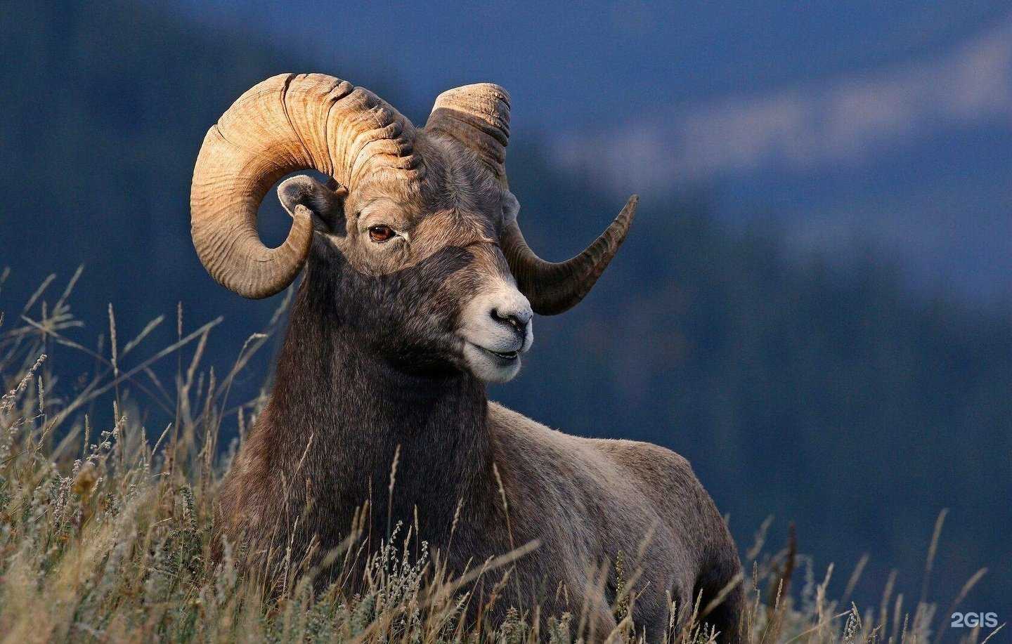 Отзывы на компанию Win and Travel в г. Петропавловск-Камчатский c фото