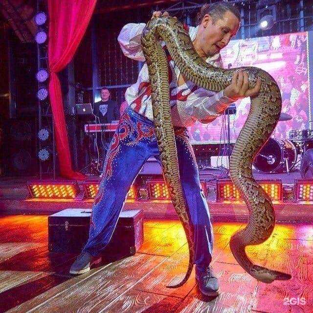 Отзывы на компанию Неон в Череповце c фото