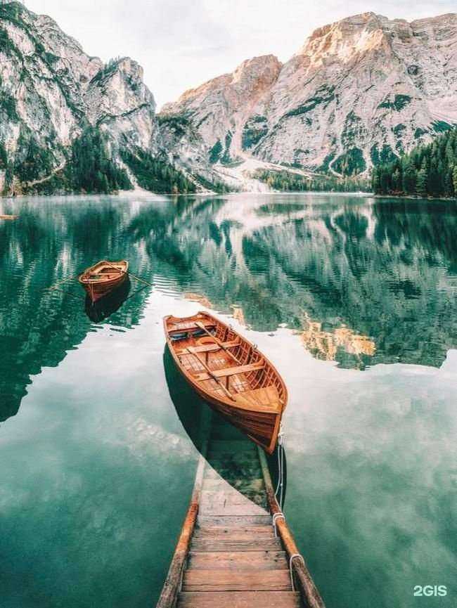 Отзывы на компанию Розовый слон в г. Ростов-на-Дону c фото