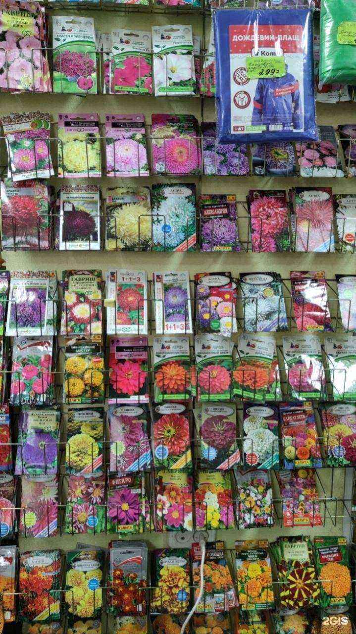 Отзывы на компанию Дачный сезон в Костроме c фото