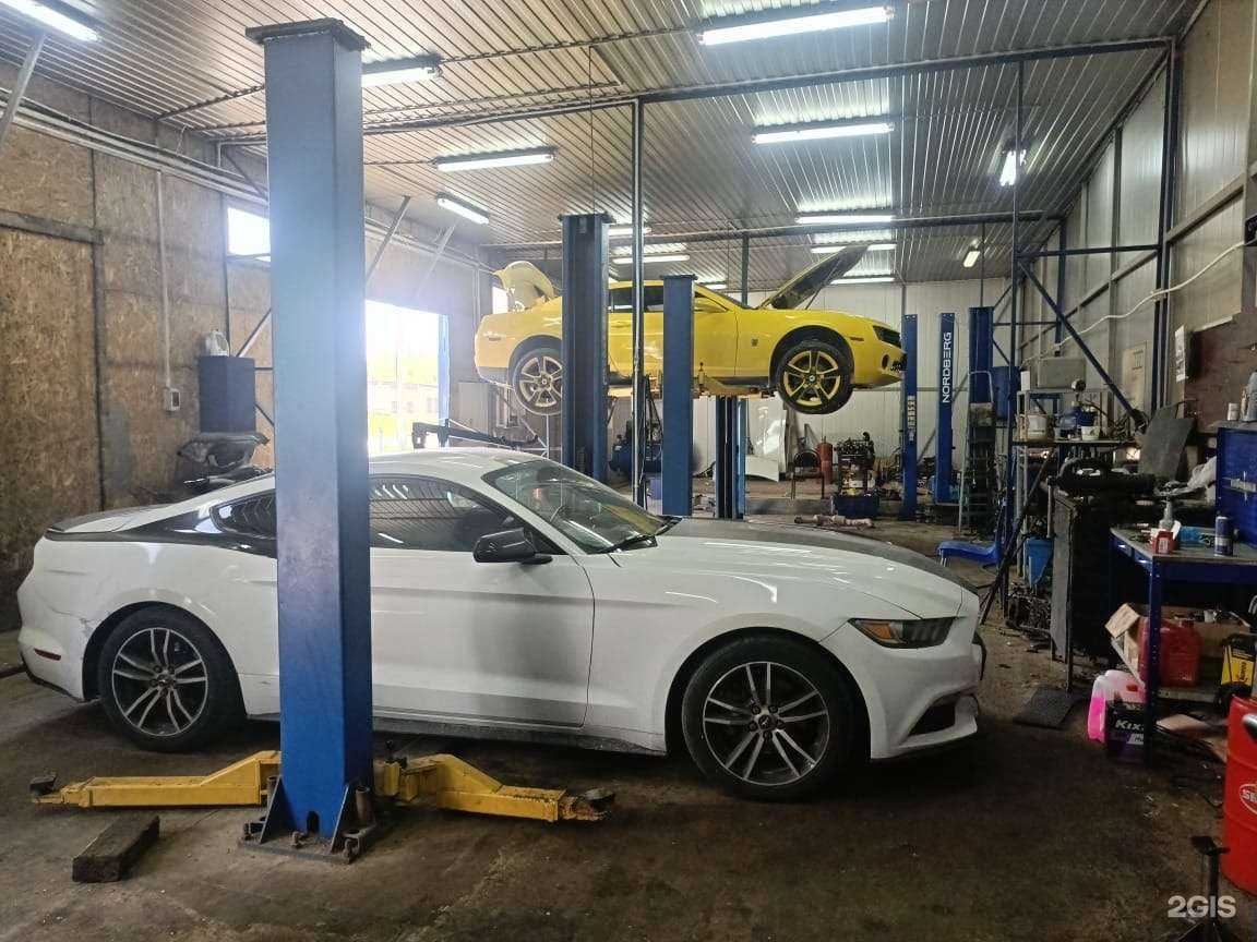 Отзывы на компанию Dailycar в Туле c фото