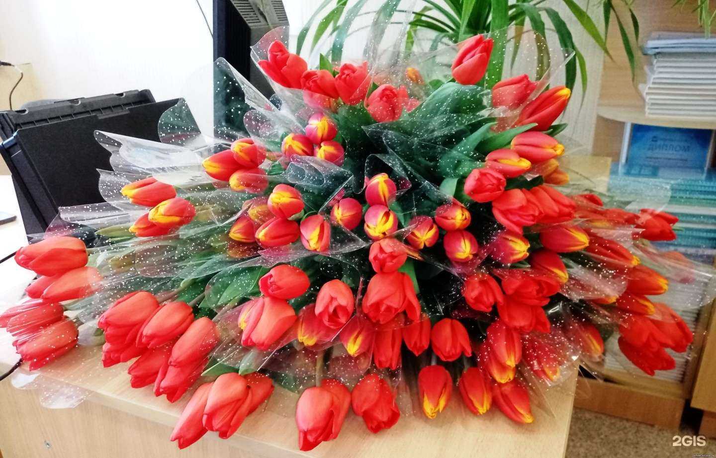 Отзывы на компанию Средняя школа №7 в Волгодонске c фото