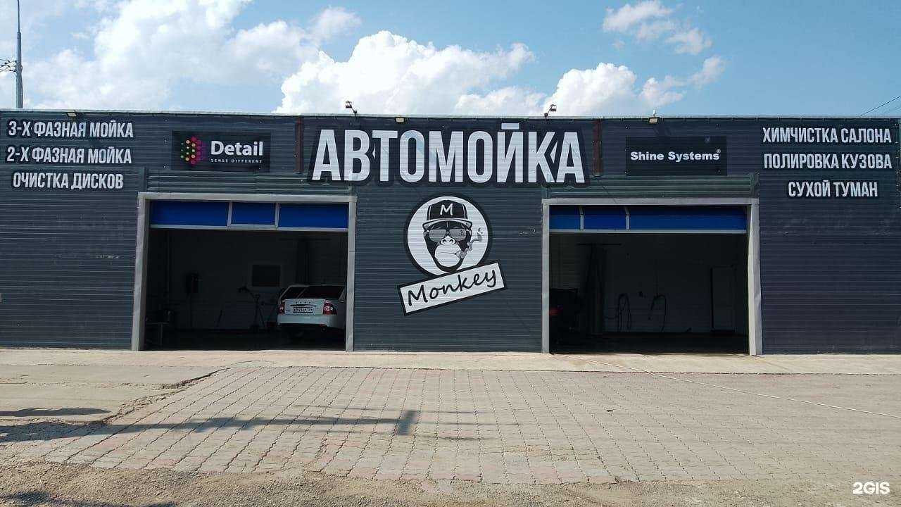 Отзывы на компанию Monkey в Красноярске c фото