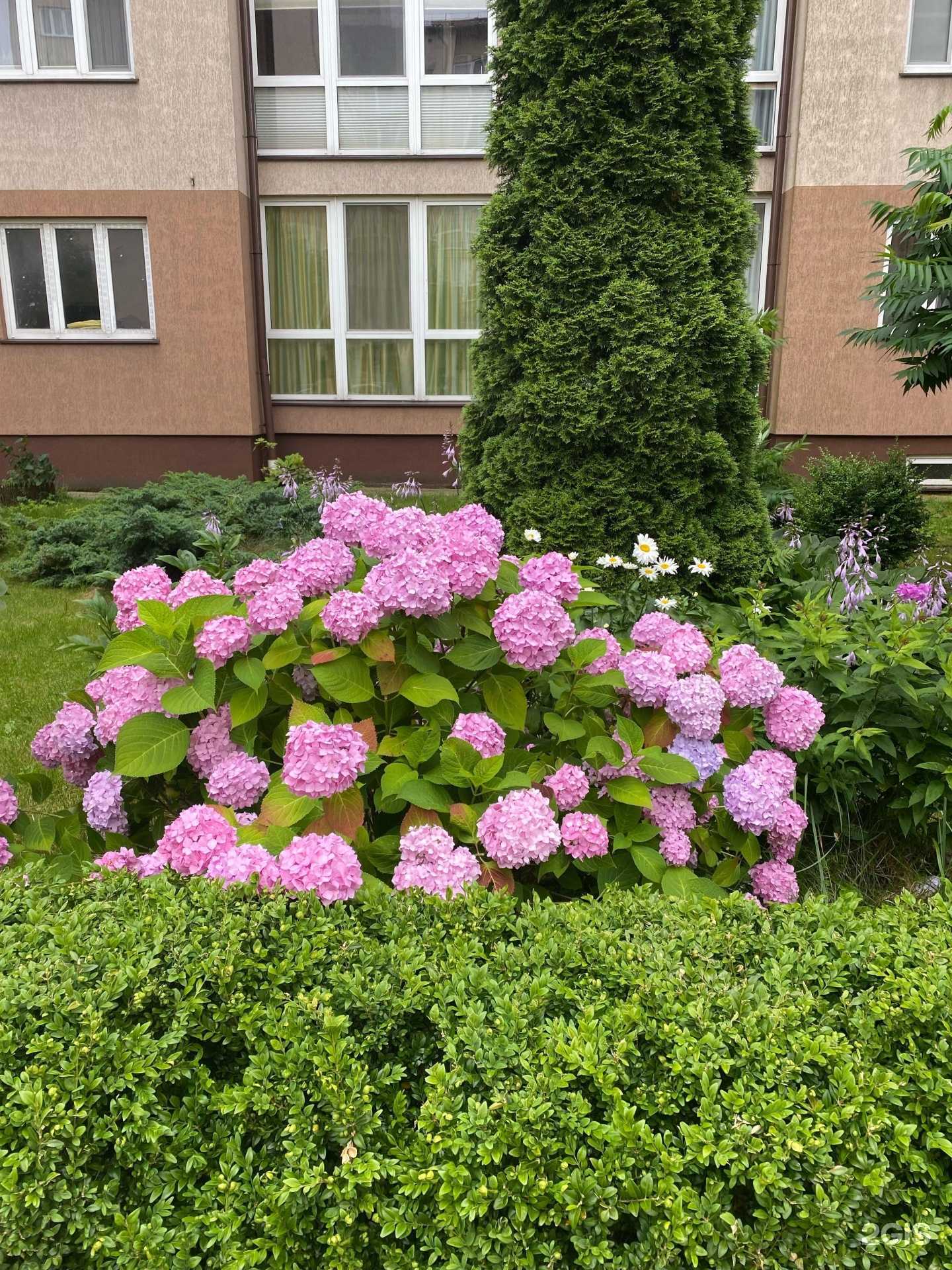 Отзывы на компанию ГазСпецСтрой в Калининграде c фото - фотография 2 из 2