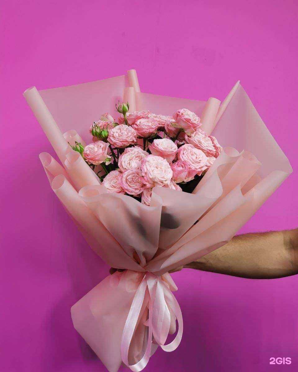 Отзывы на компанию Anna Lotus в Волгодонске c фото