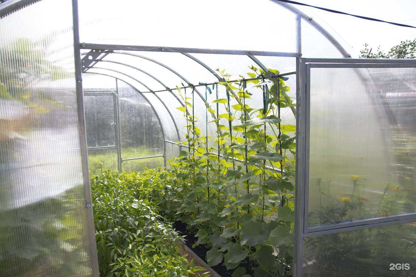 Отзывы на компанию Крепче в г. Барнаул c фото