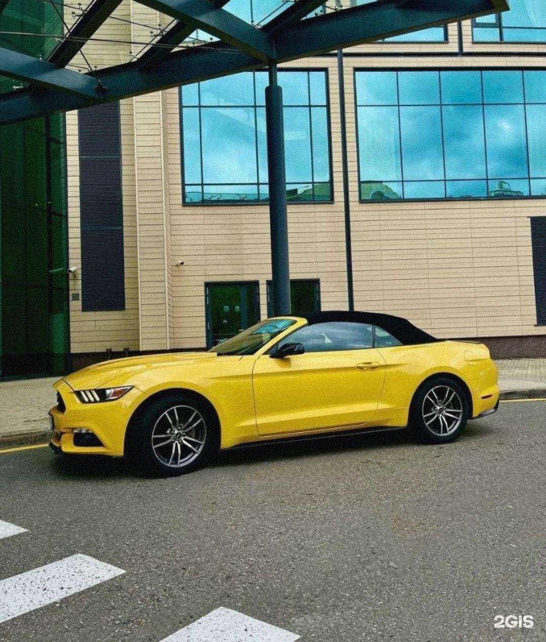 Отзывы на компанию illi в г. Сочи c фото