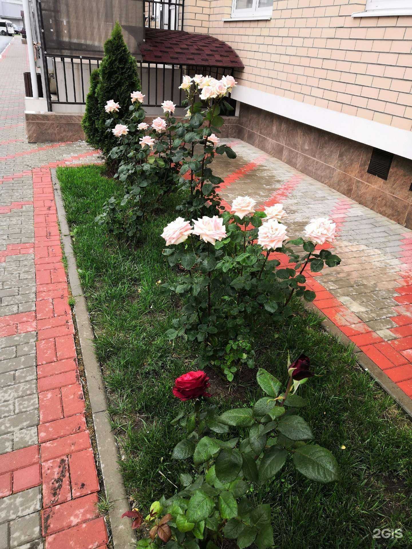 Отзывы на компанию Гера в г. Краснодар c фото