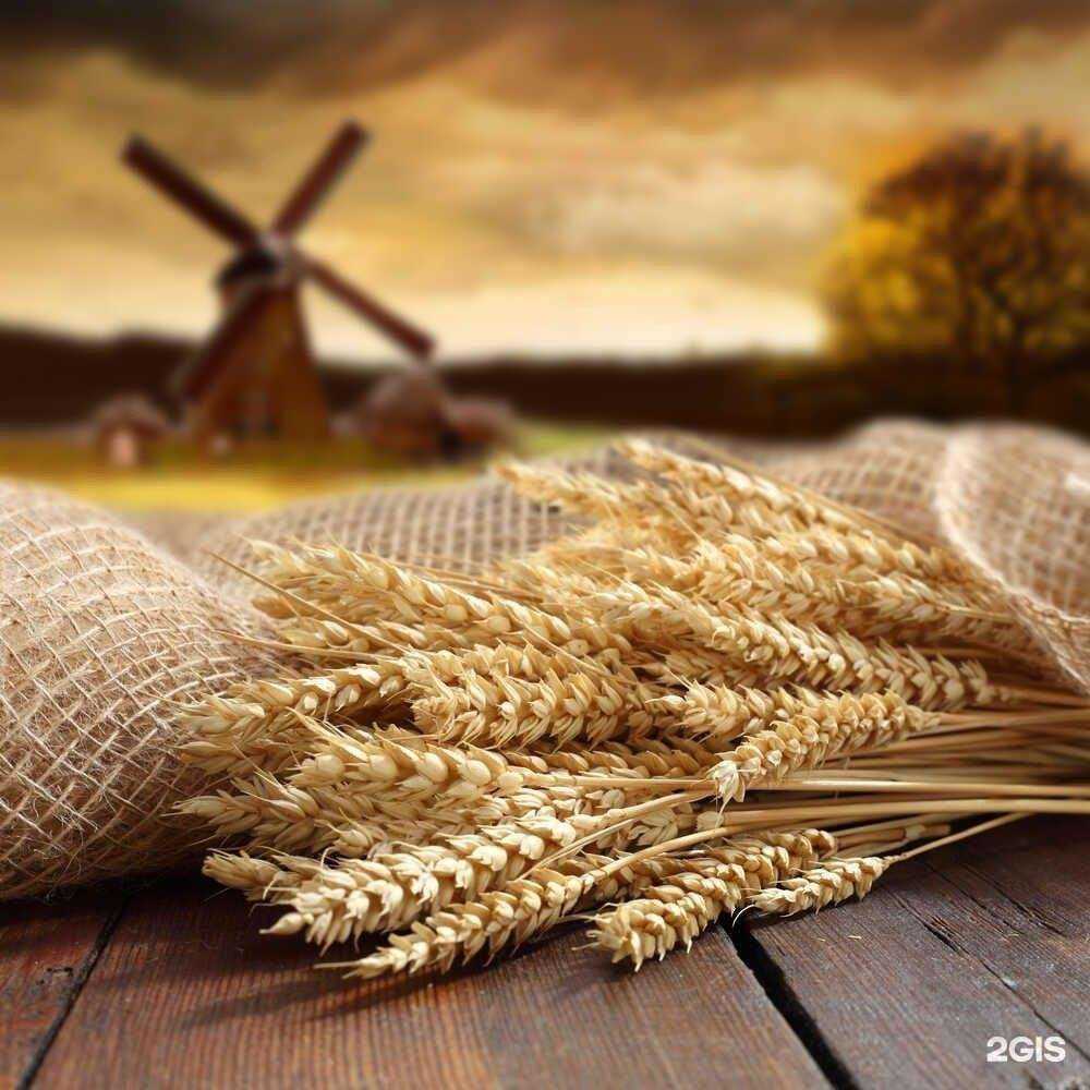 Отзывы на компанию Хлебная лавка в Армавире c фото