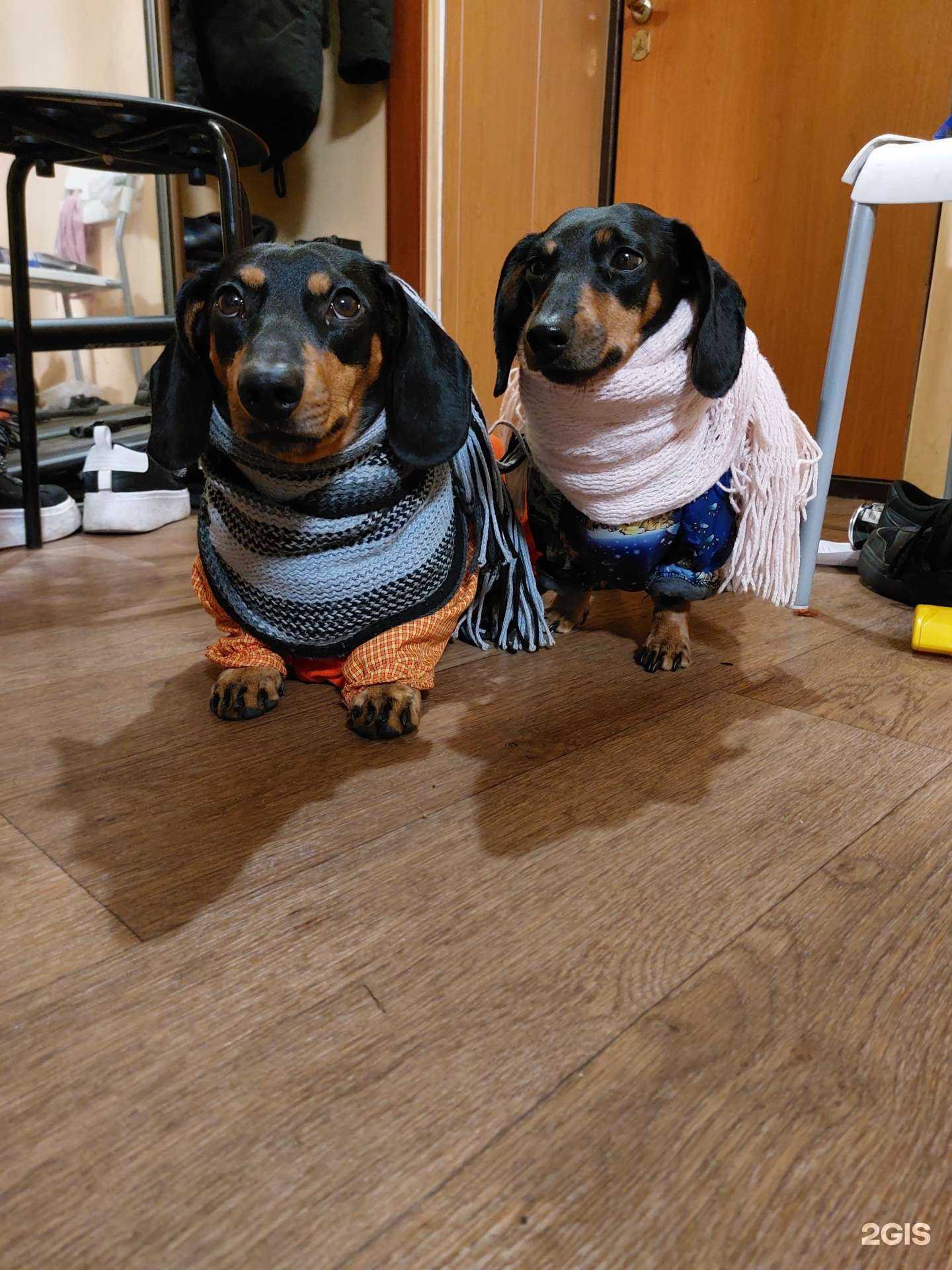 Отзывы на компанию Ветнай в Екатеринбурге c фото