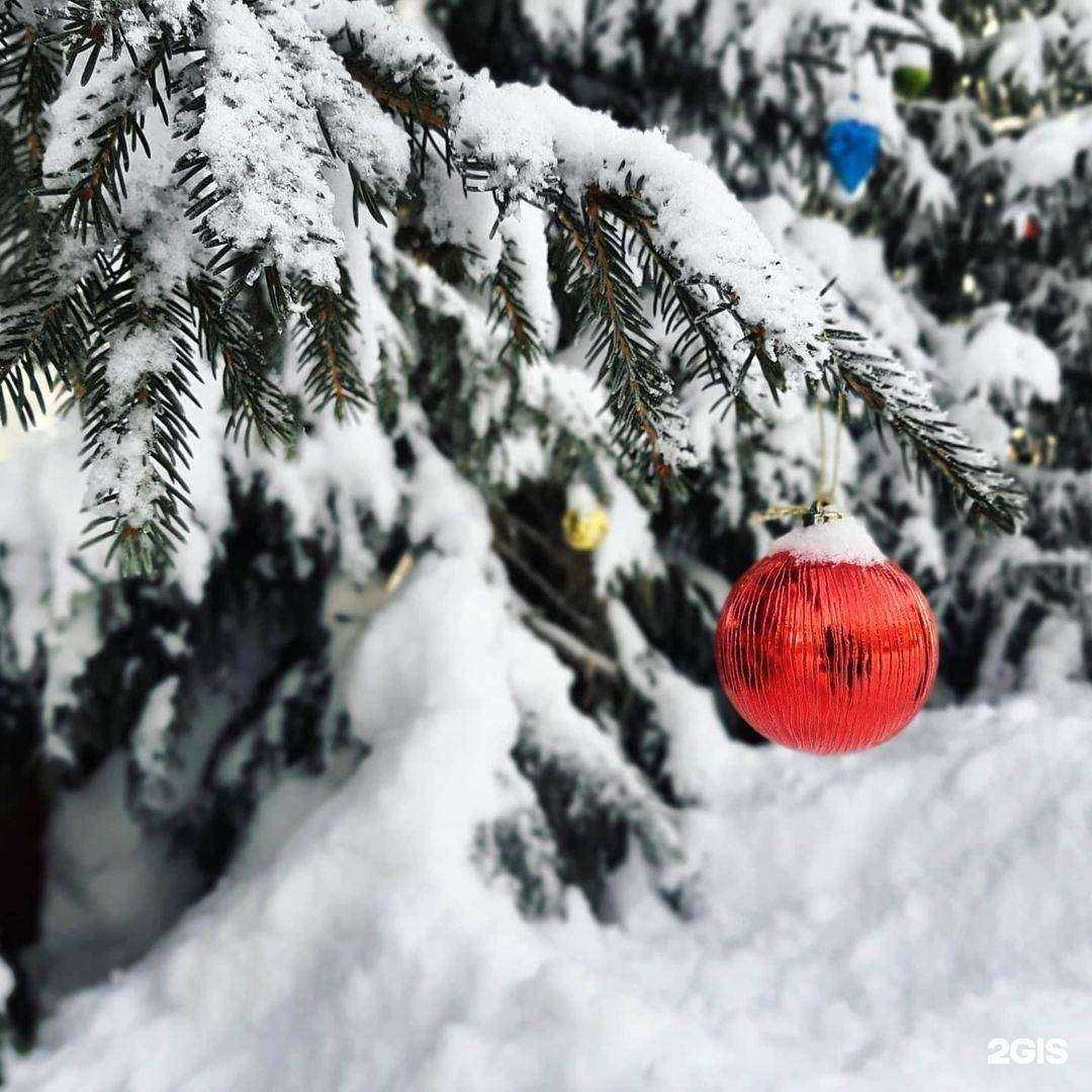 Отзывы на компанию Мир перевода в Петропавловске-Камчатском c фото