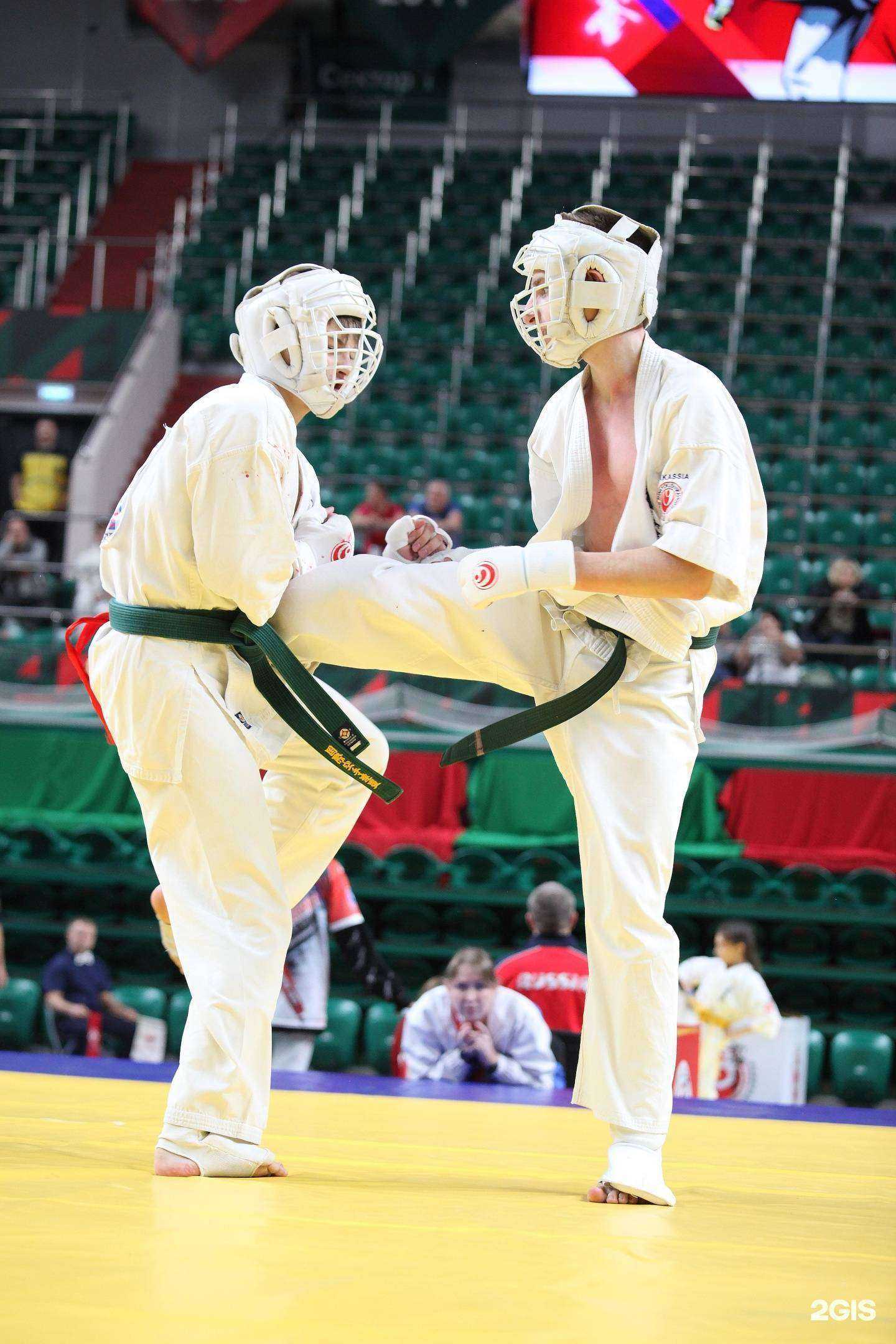 Отзывы на компанию Ippon в Абакане c фото