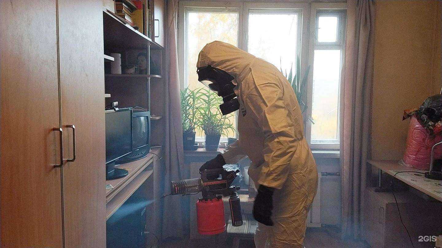 Отзывы на компанию Регион СЭС в Саратове c фото