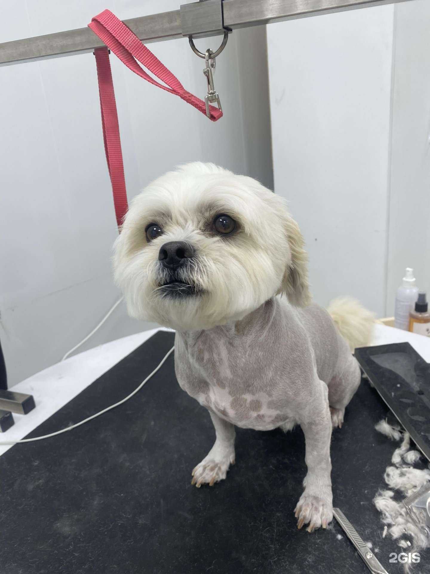 Отзывы на компанию Groom Дом в г. Тюмень c фото