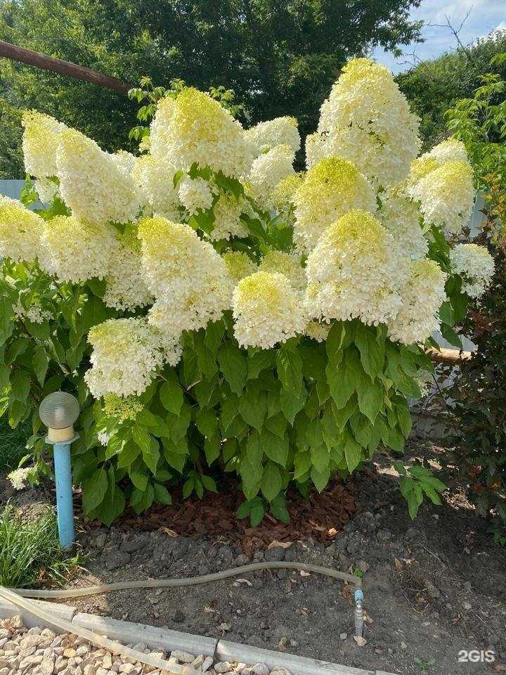 Отзывы на компанию Все для сада в Саратове c фото