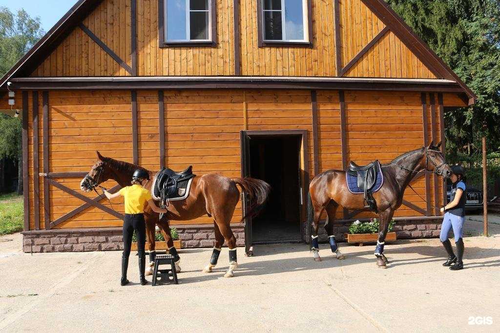 Отзывы на компанию Удачное в г. Химки c фото