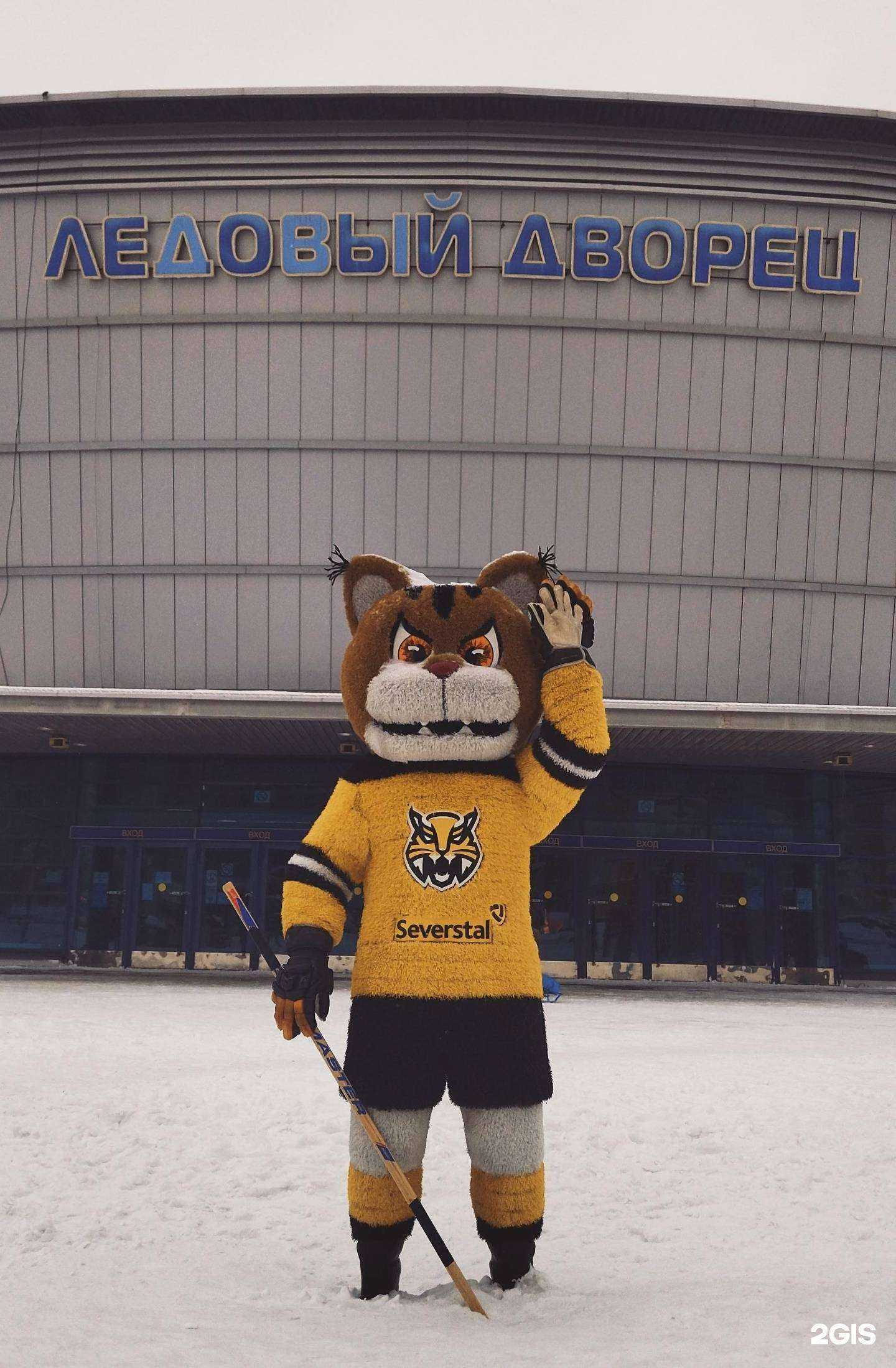 Отзывы на компанию Северсталь в г. Череповец c фото