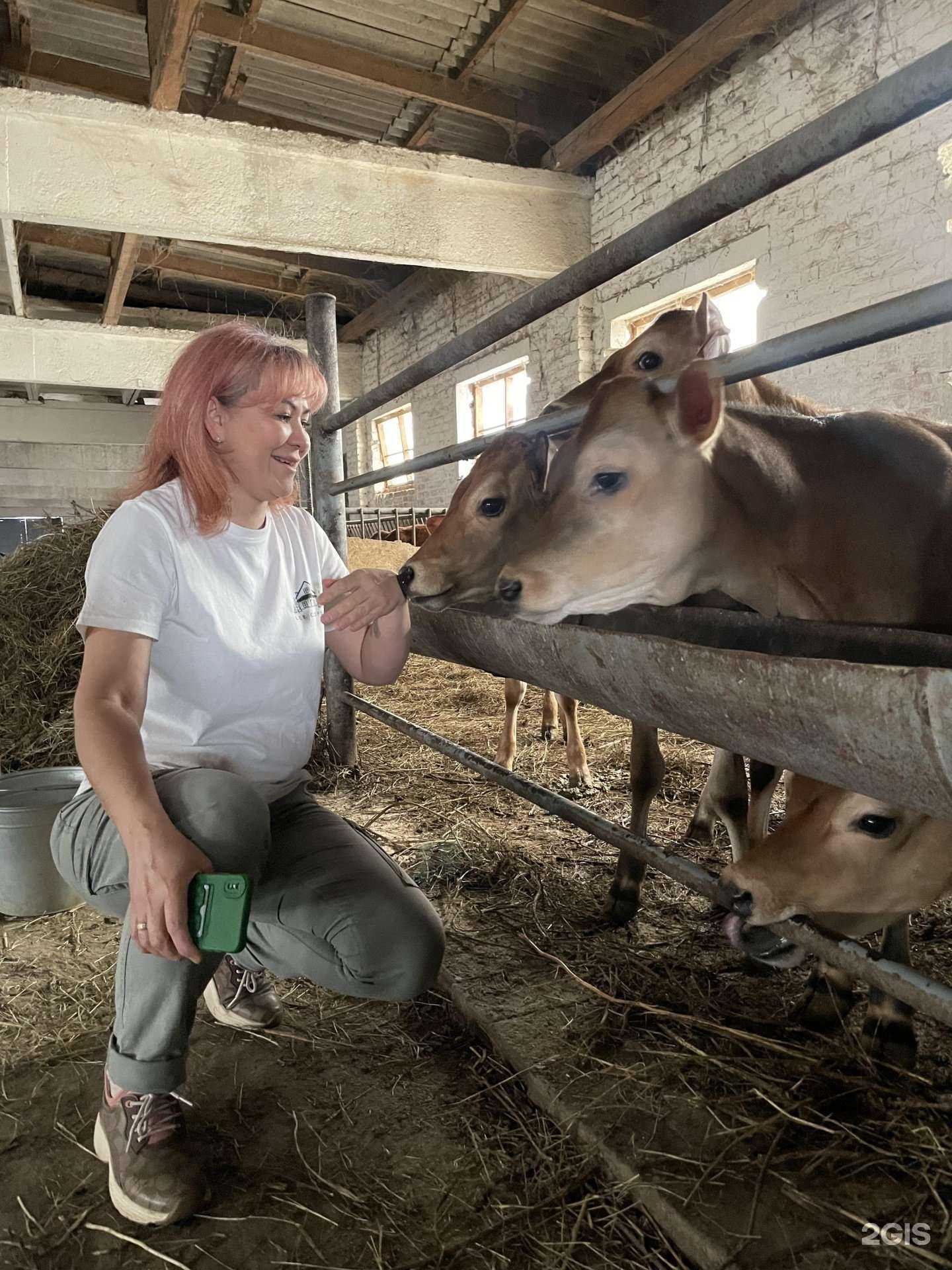 Отзывы на компанию Свой сыр в Астрахани c фото