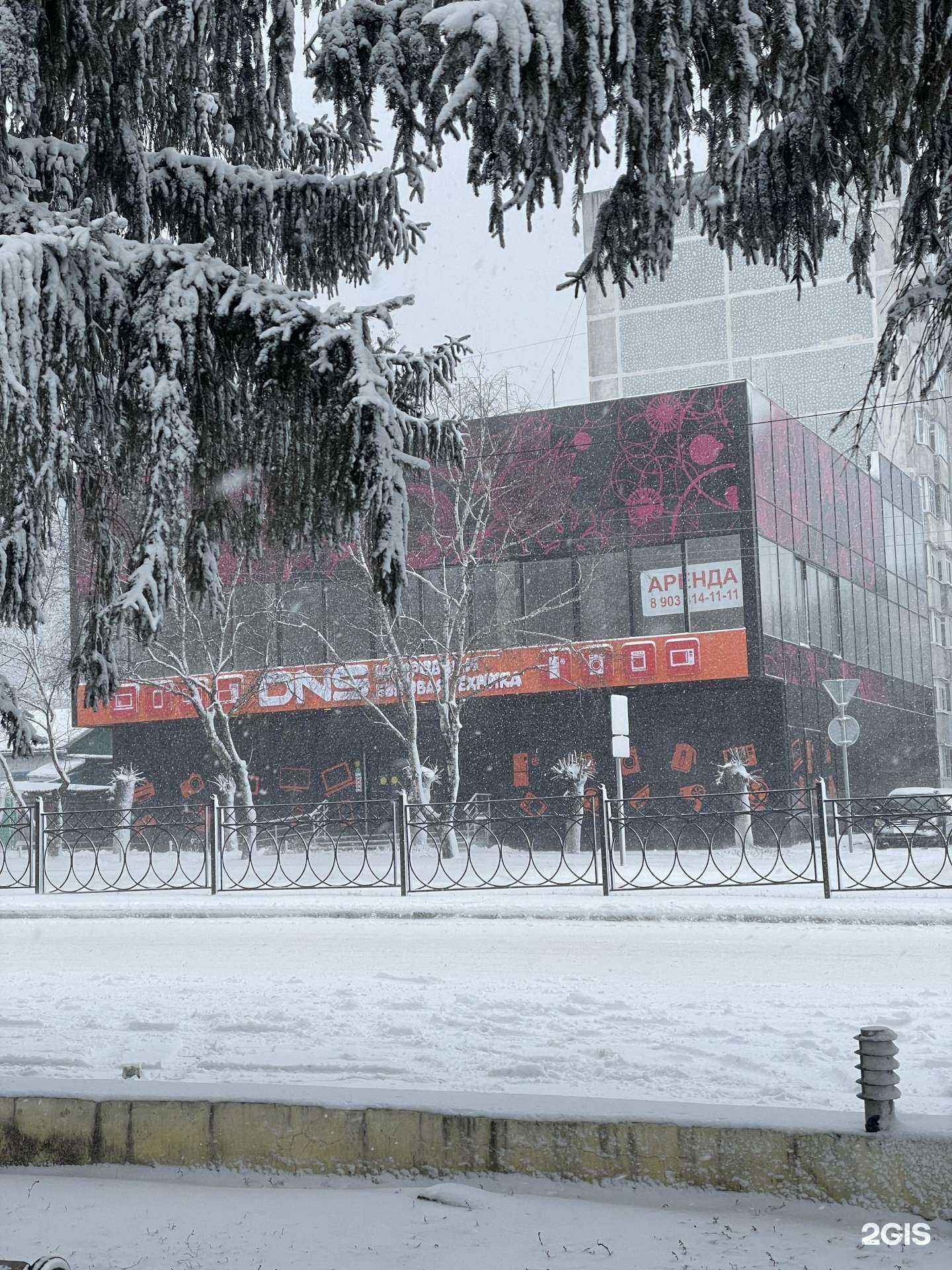 Отзывы на компанию DNS в Железноводске c фото