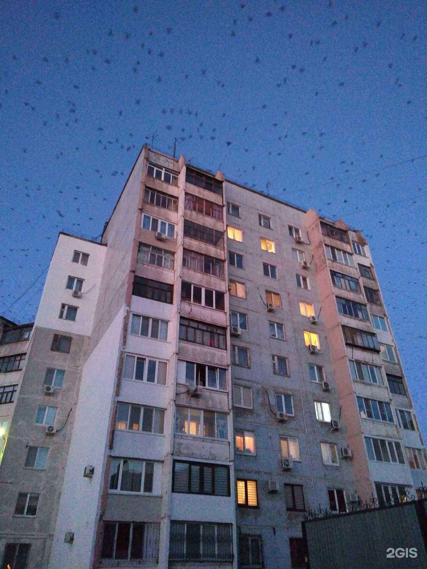 Отзывы на компанию Letovoren в Оренбурге c фото - фотография 2 из 2