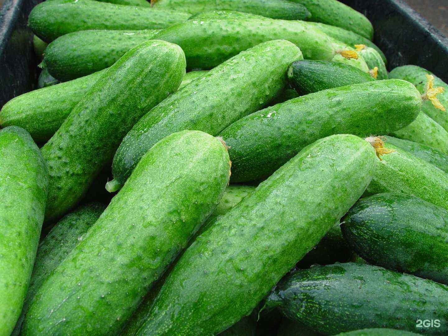 Отзывы на компанию Алексеевский в Уфе c фото