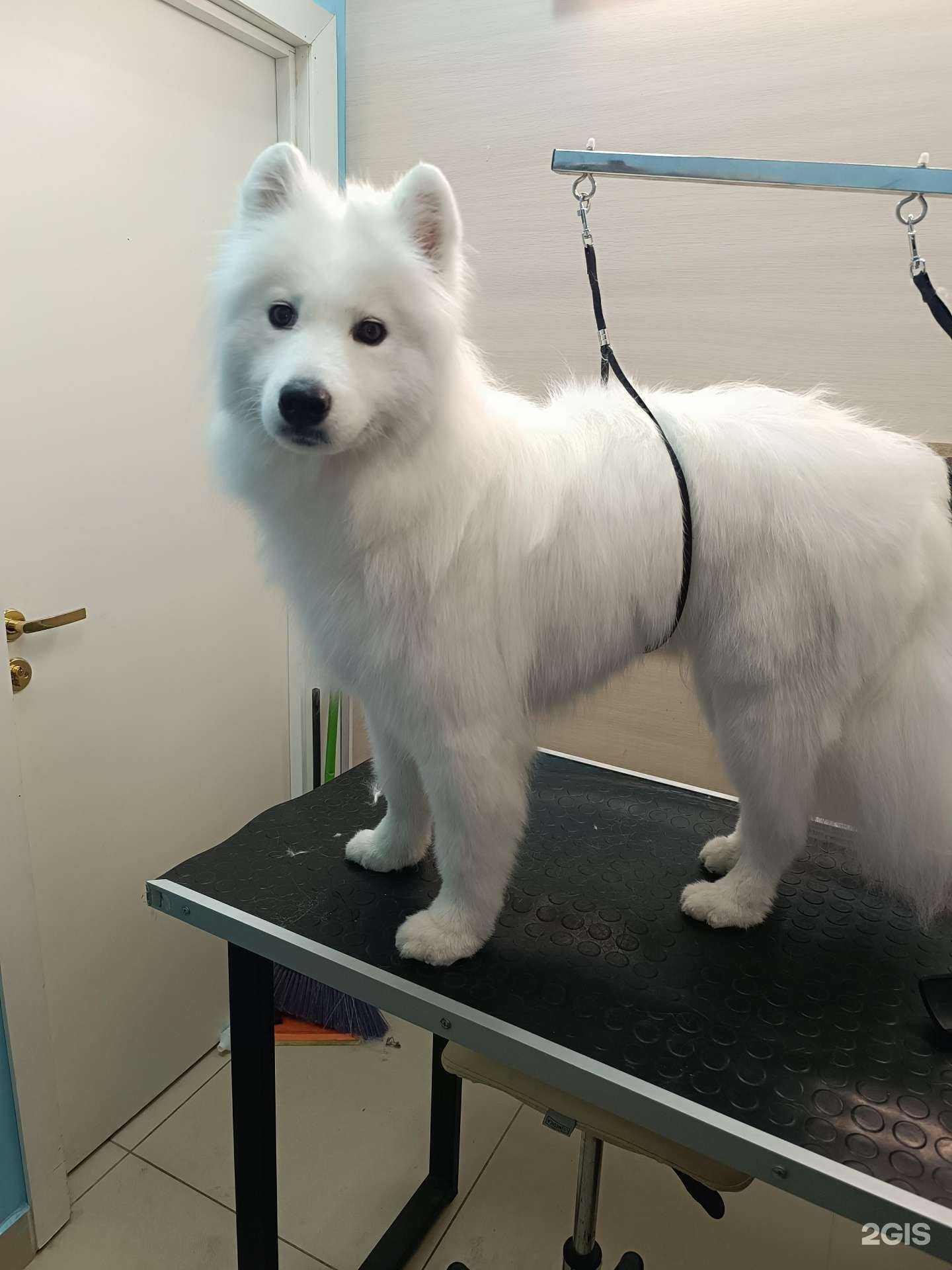 Отзывы на компанию Зоолэнд в г. Самара c фото