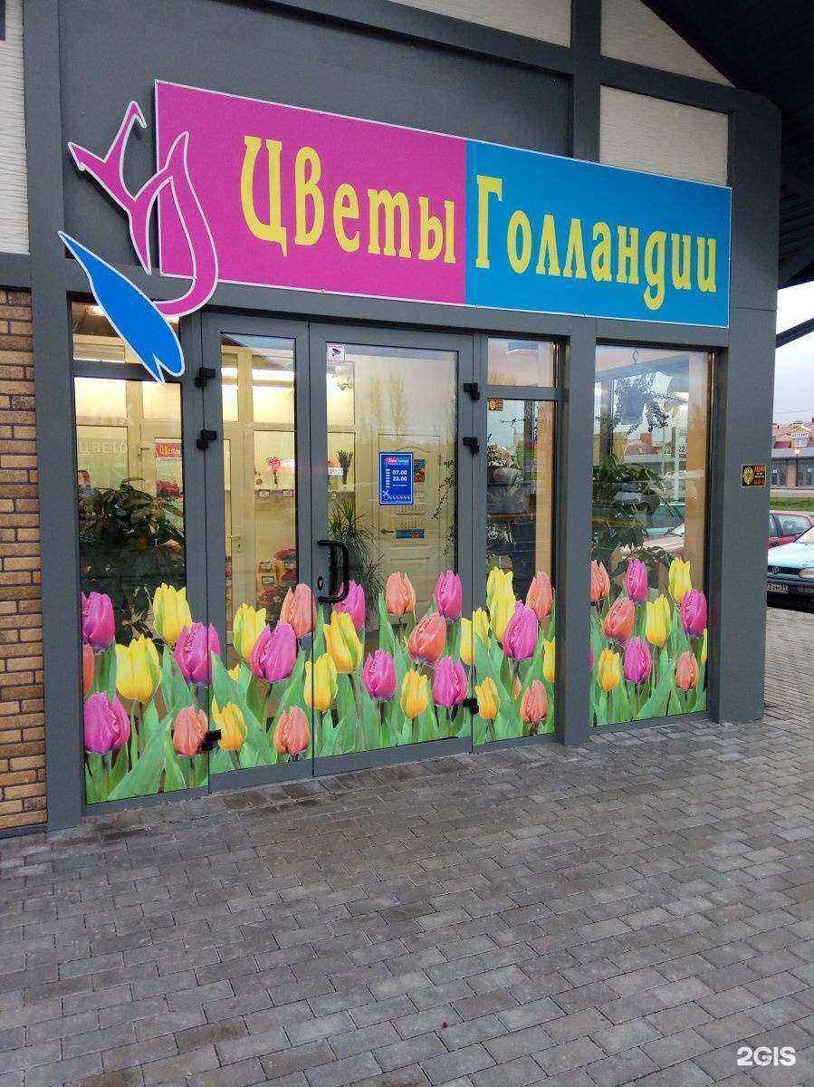 Отзывы на компанию Цветы Голландии в Гурьевске c фото - фотография 2 из 3