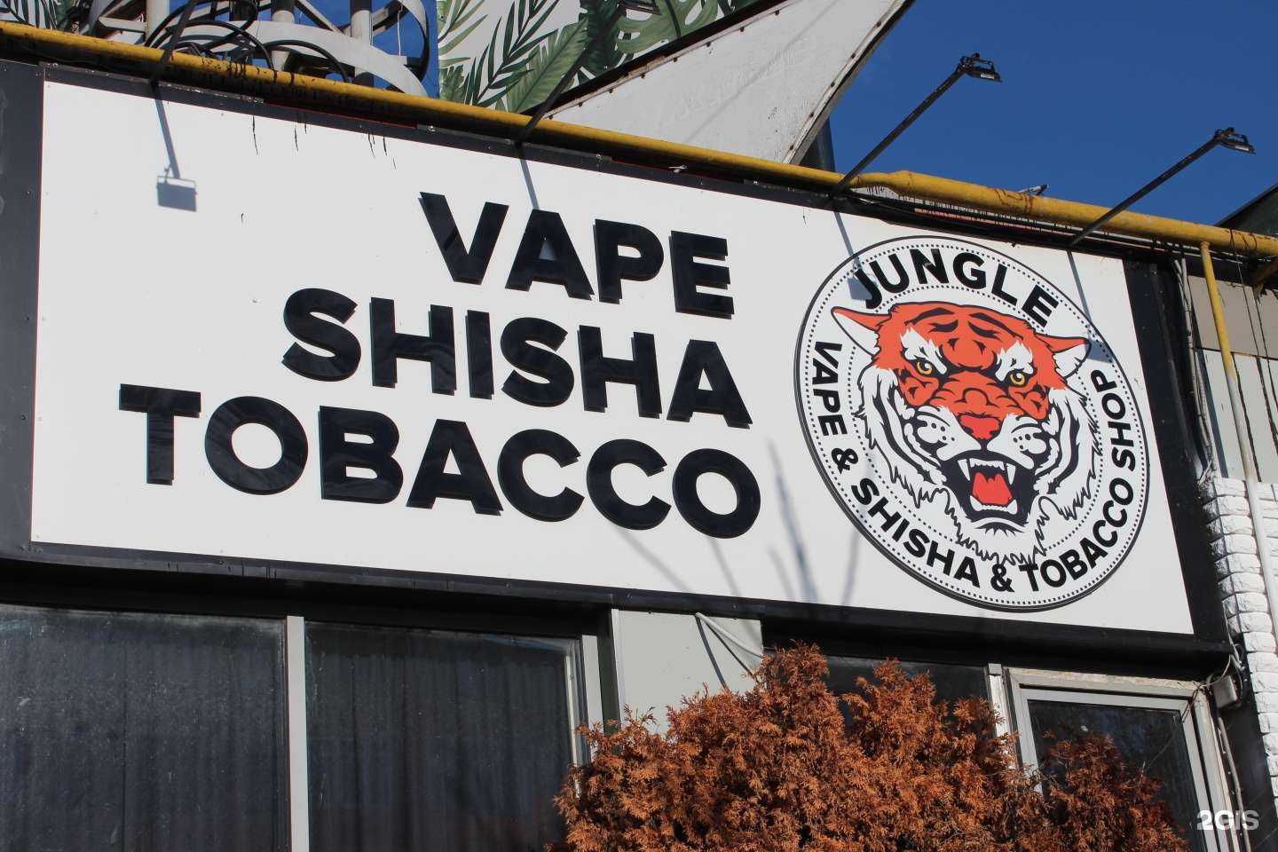 Отзывы на компанию Jungle в г. Анапа c фото