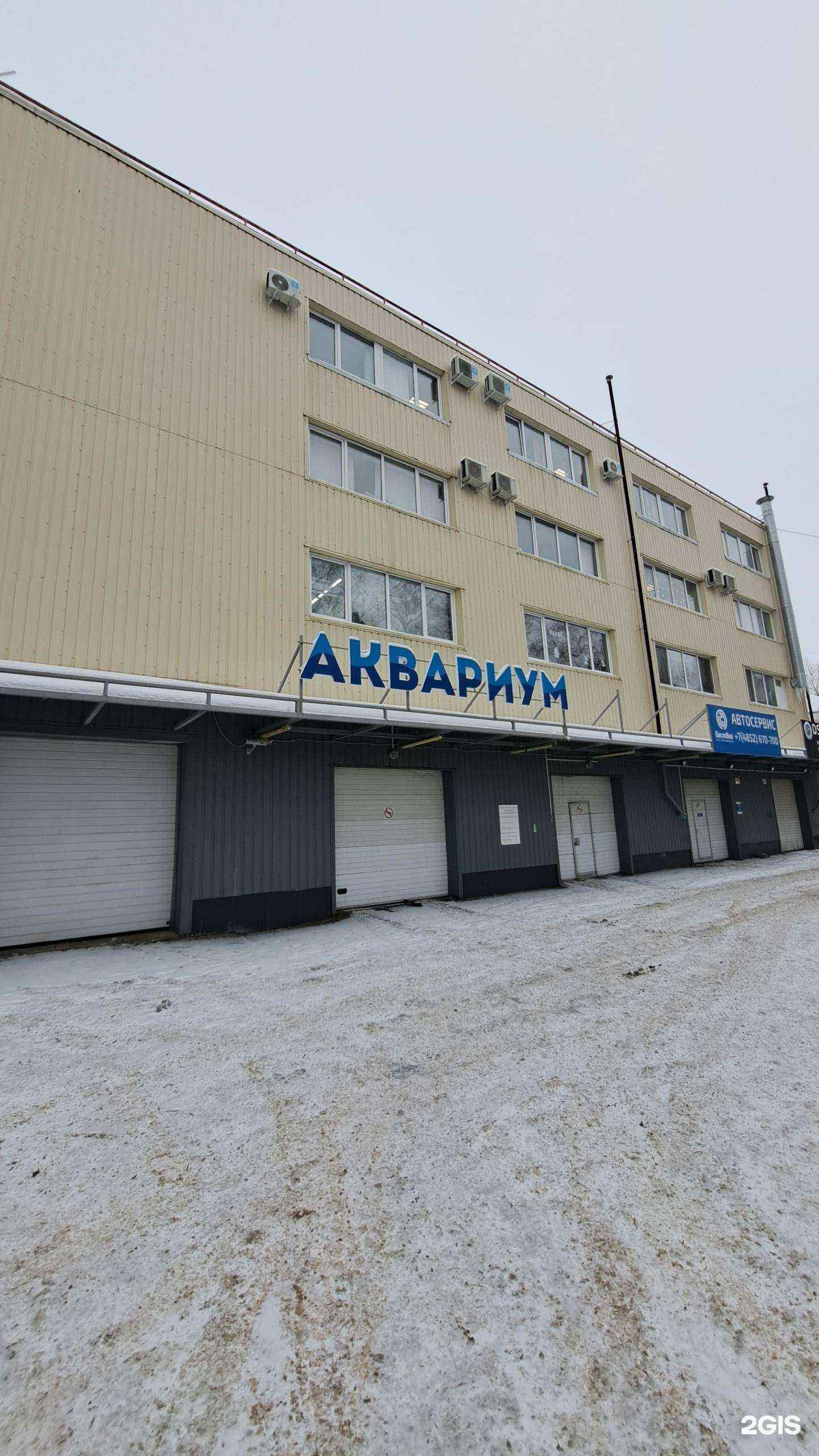 Отзывы на компанию K-Pop в Ярославле c фото - фотография 2 из 2