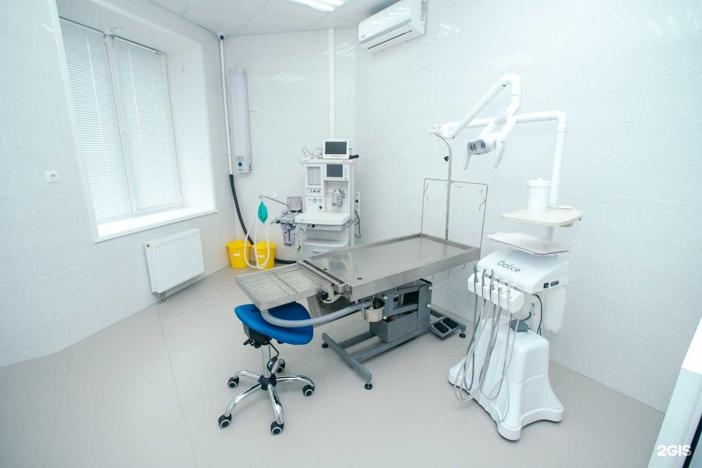 Отзывы на компанию Зверодент в Хабаровске c фото