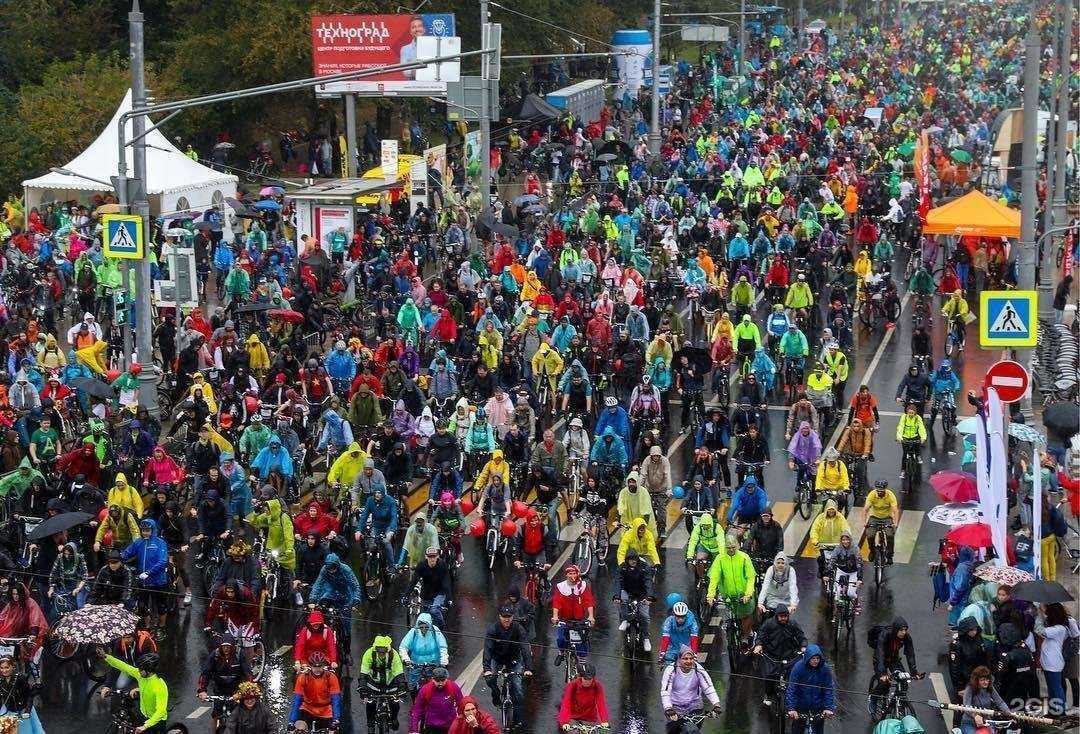 Отзывы на компанию Веломарка в Петрозаводске c фото