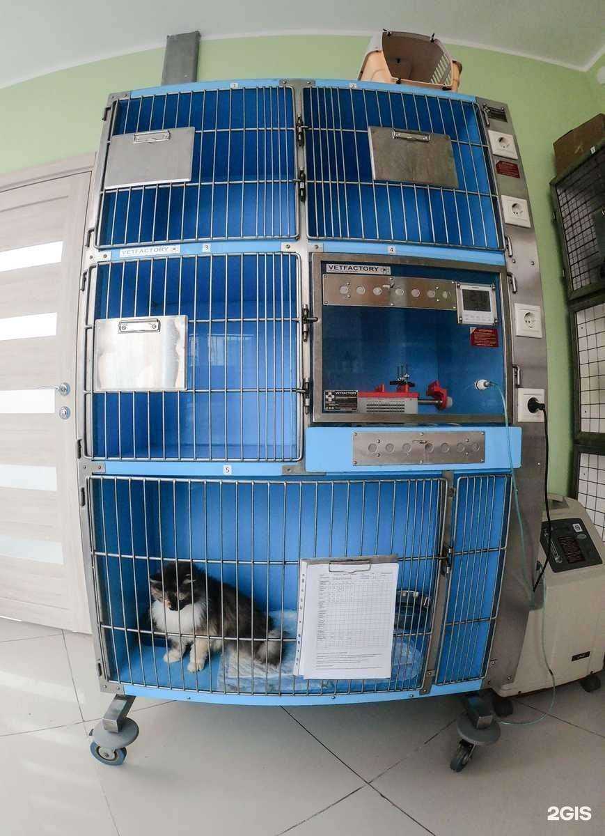 Отзывы на компанию Четыре с хвостиком в г. Тула c фото