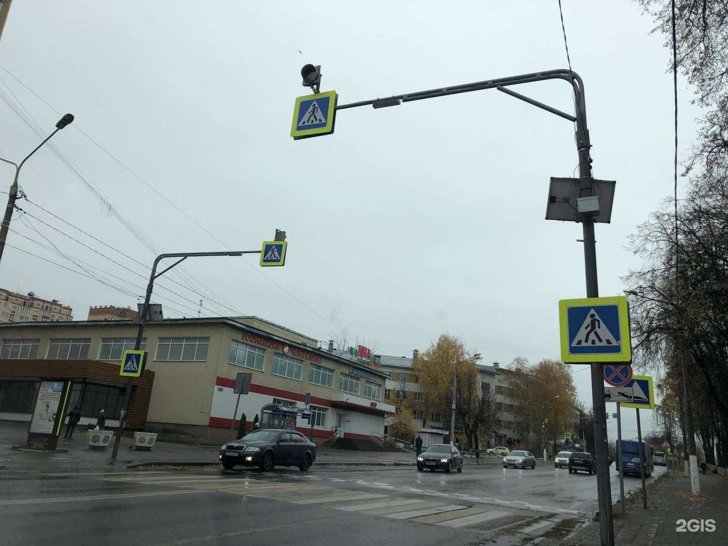 Отзывы на компанию Котофей в Егорьевске c фото - фотография 2 из 2