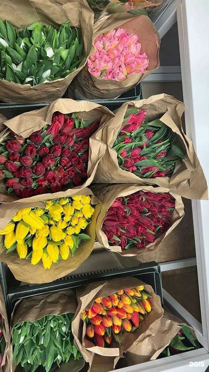 Отзывы на компанию Gerberry в Владимире c фото