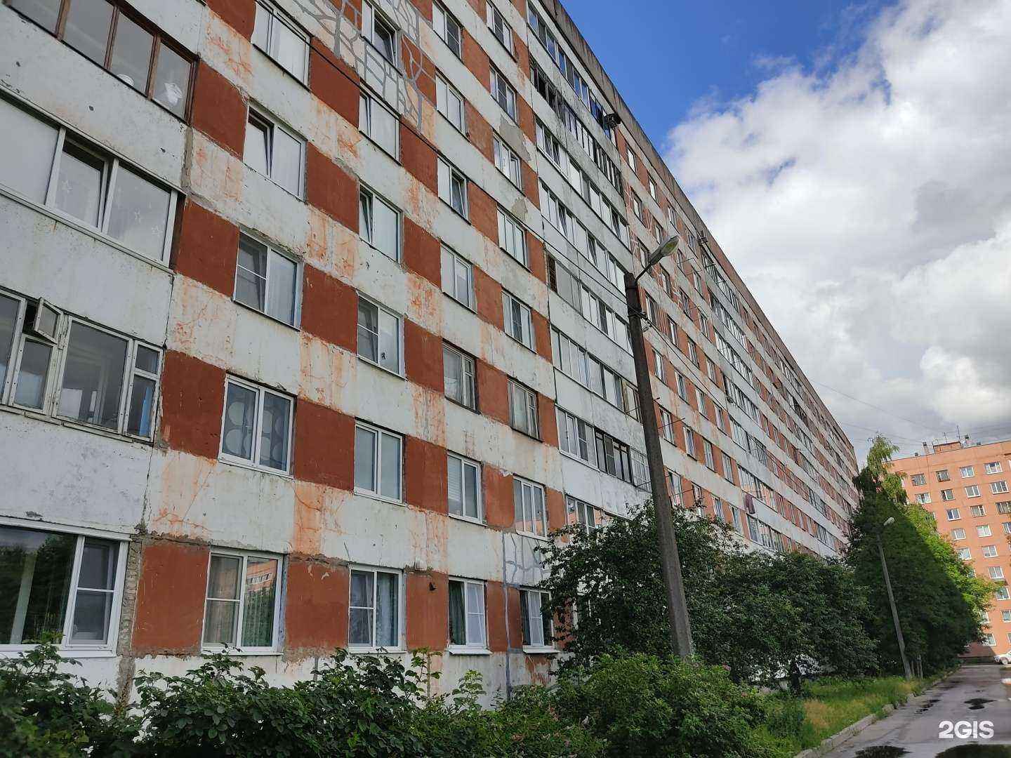 Отзывы на компанию Ветеринарная клиника в Сертолове c фото - фотография 2 из 2