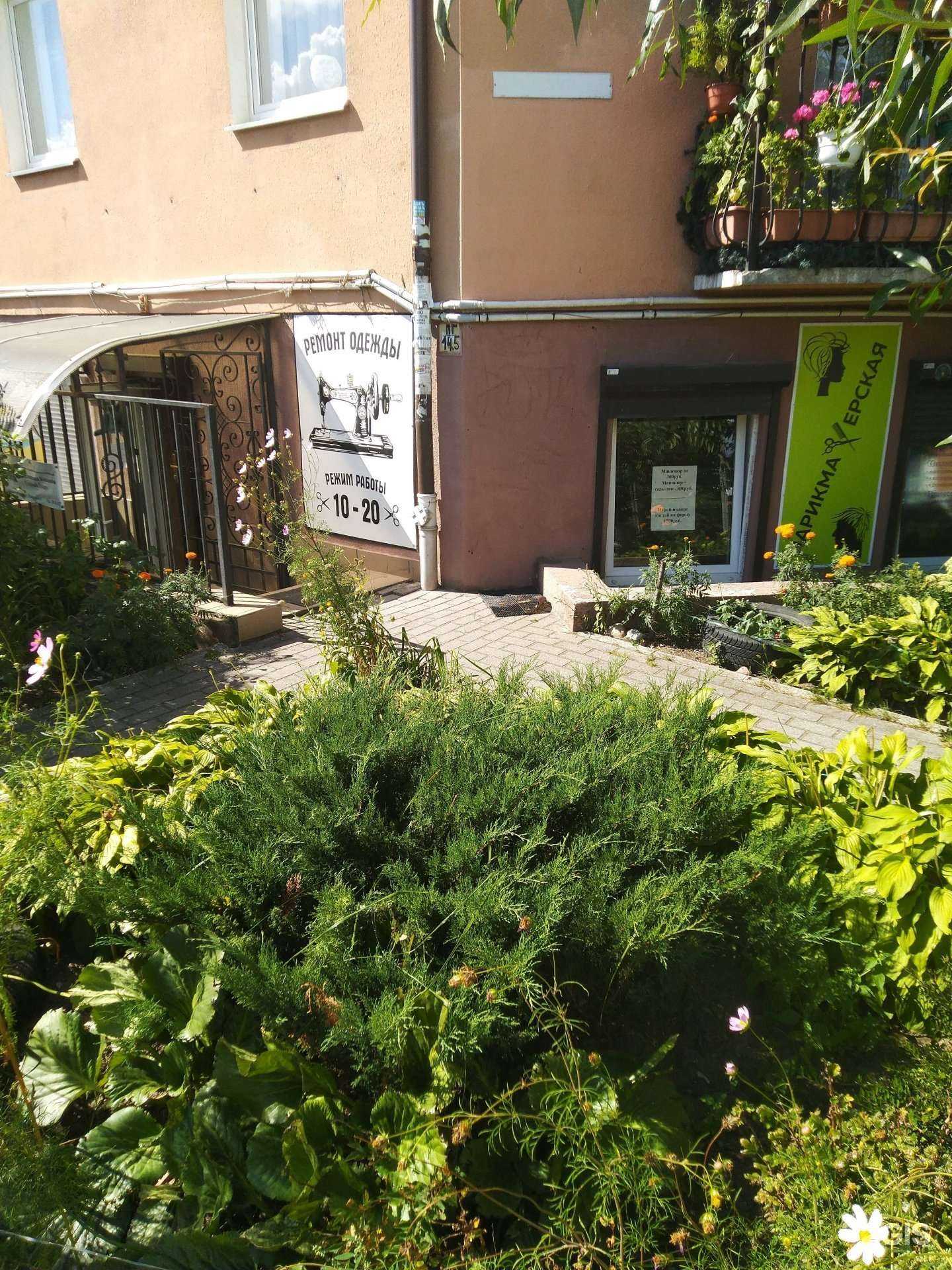 Отзывы на компанию Сафари в Калининграде c фото