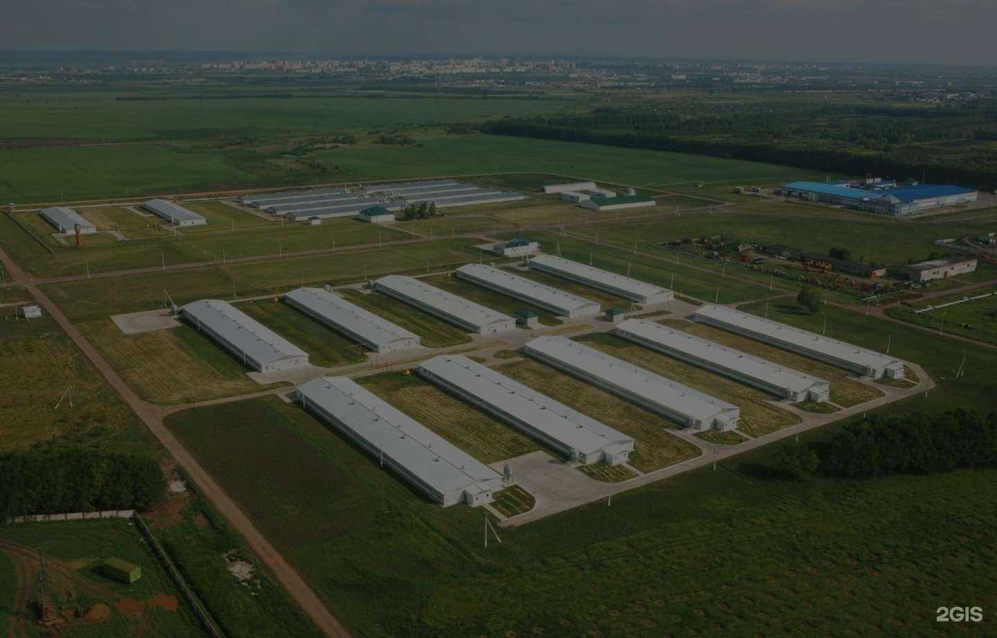 Отзывы на компанию Агросила в г. Елабуга c фото