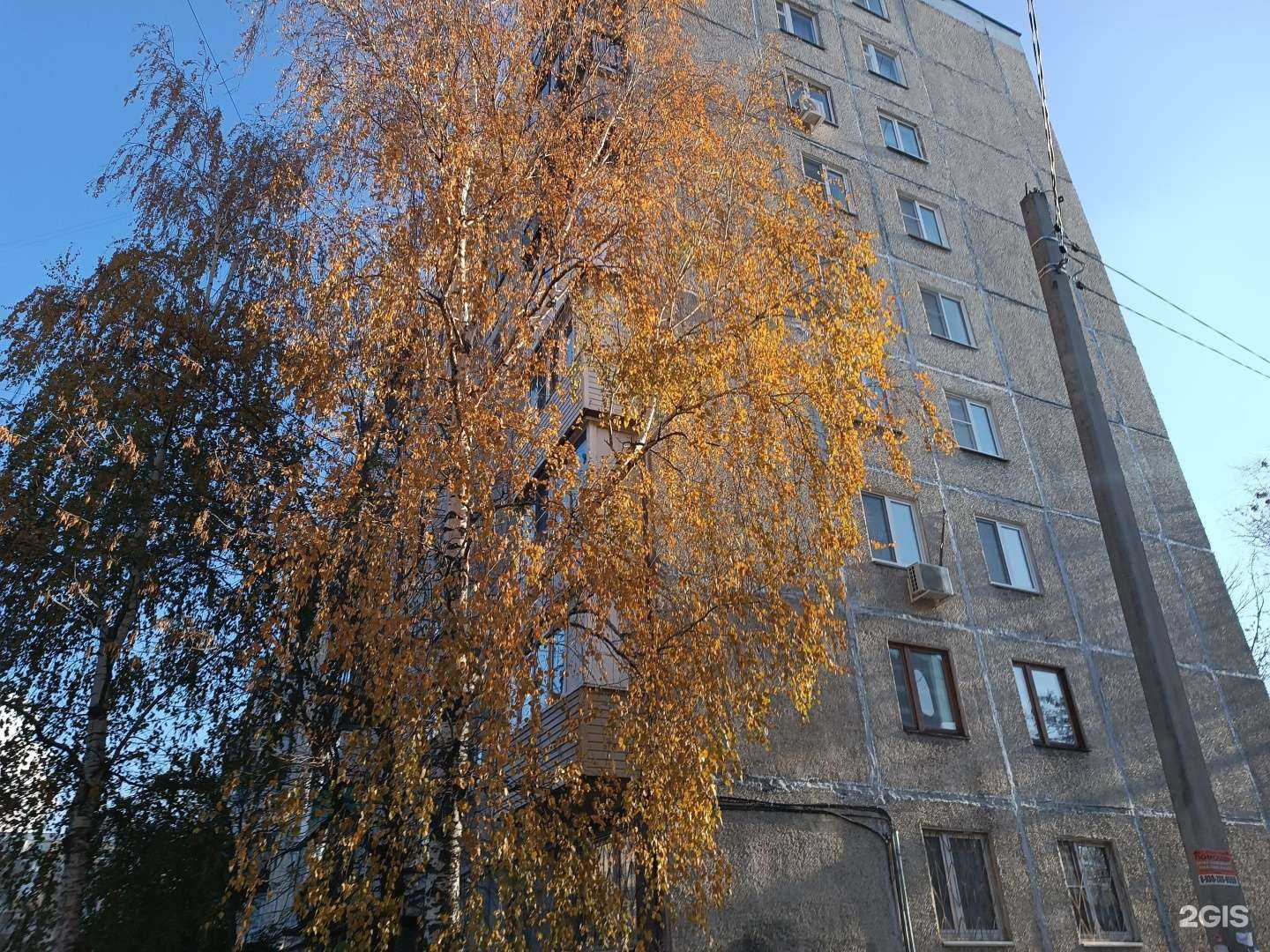 Отзывы на компанию Клеопатра в Нижнем Новгороде c фото - фотография 2 из 2