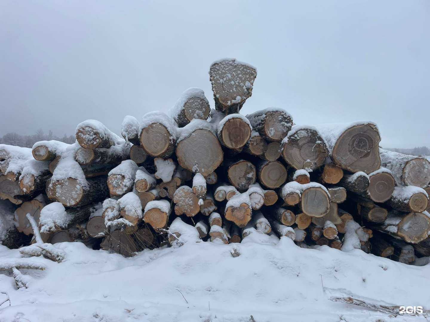 Отзывы на компанию Мир дерева в Старой Купавне c фото