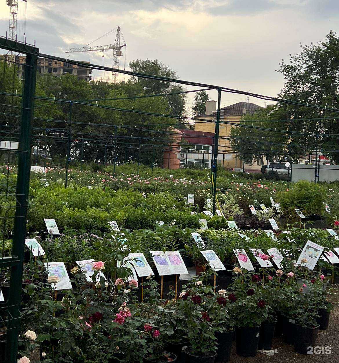 Отзывы на компанию Сады Сибири в Иркутске c фото