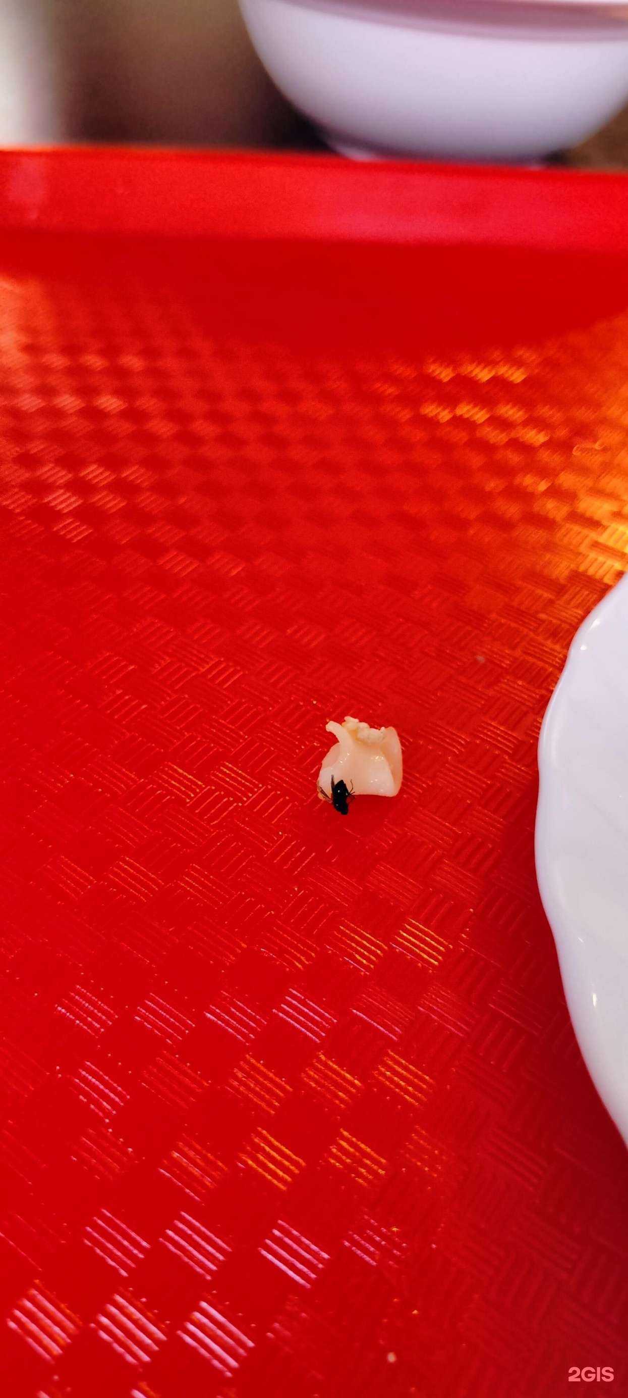 Отзывы на компанию Вкусно поесть в Твери c фото