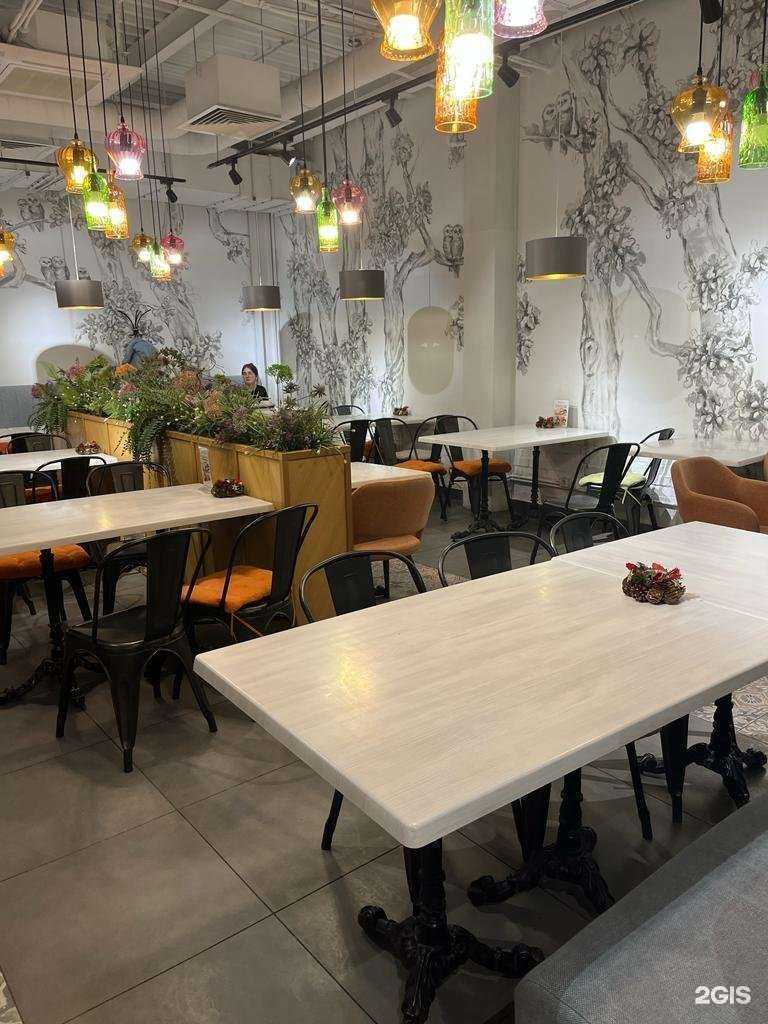 Отзывы на компанию Вермишель в Воронеже c фото