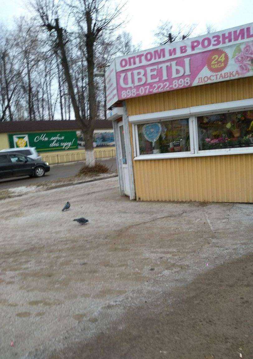 Отзывы на компанию Магазин по продаже цветов в Узловой c фото