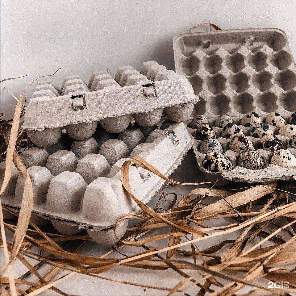 Отзывы на компанию Маленький фермер в г. Липецк c фото