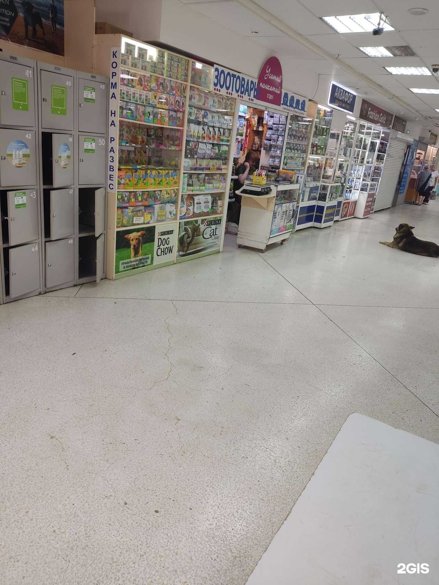 Отзывы на компанию Усатый полосатый в Березниках c фото