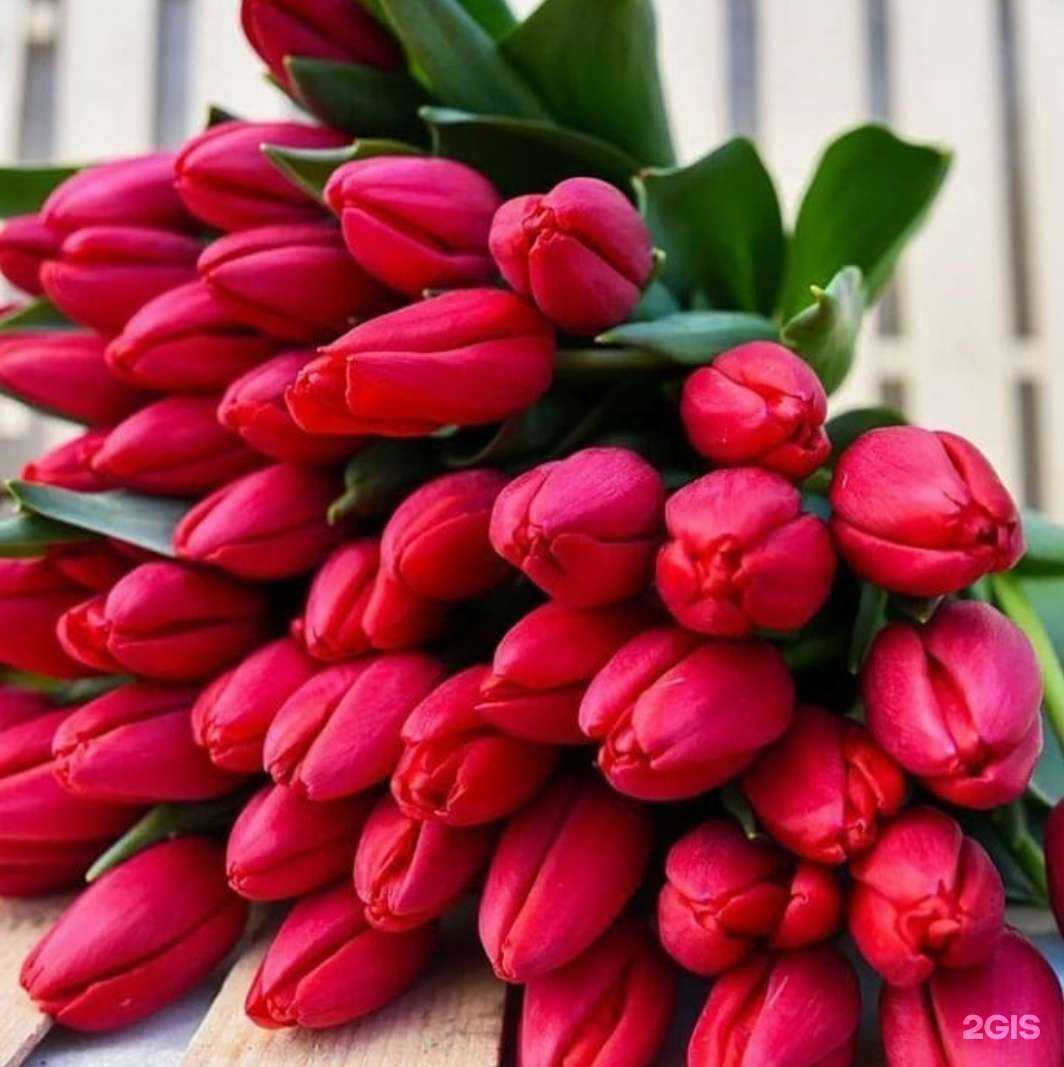 Отзывы на компанию Роза Челябинск в Челябинске c фото