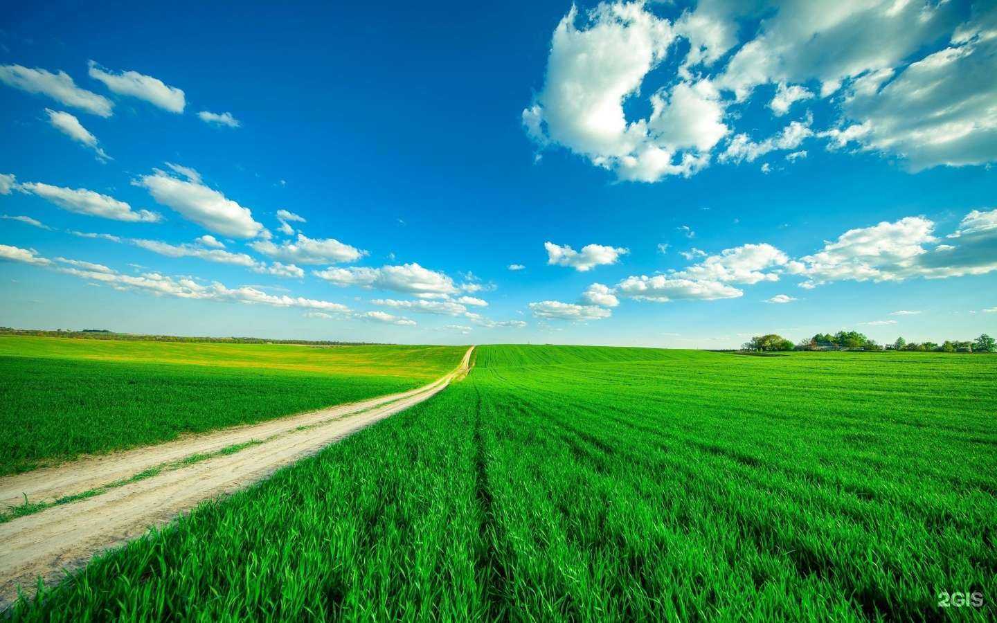 Отзывы на компанию Группа компаний Экос в Екатеринбурге c фото