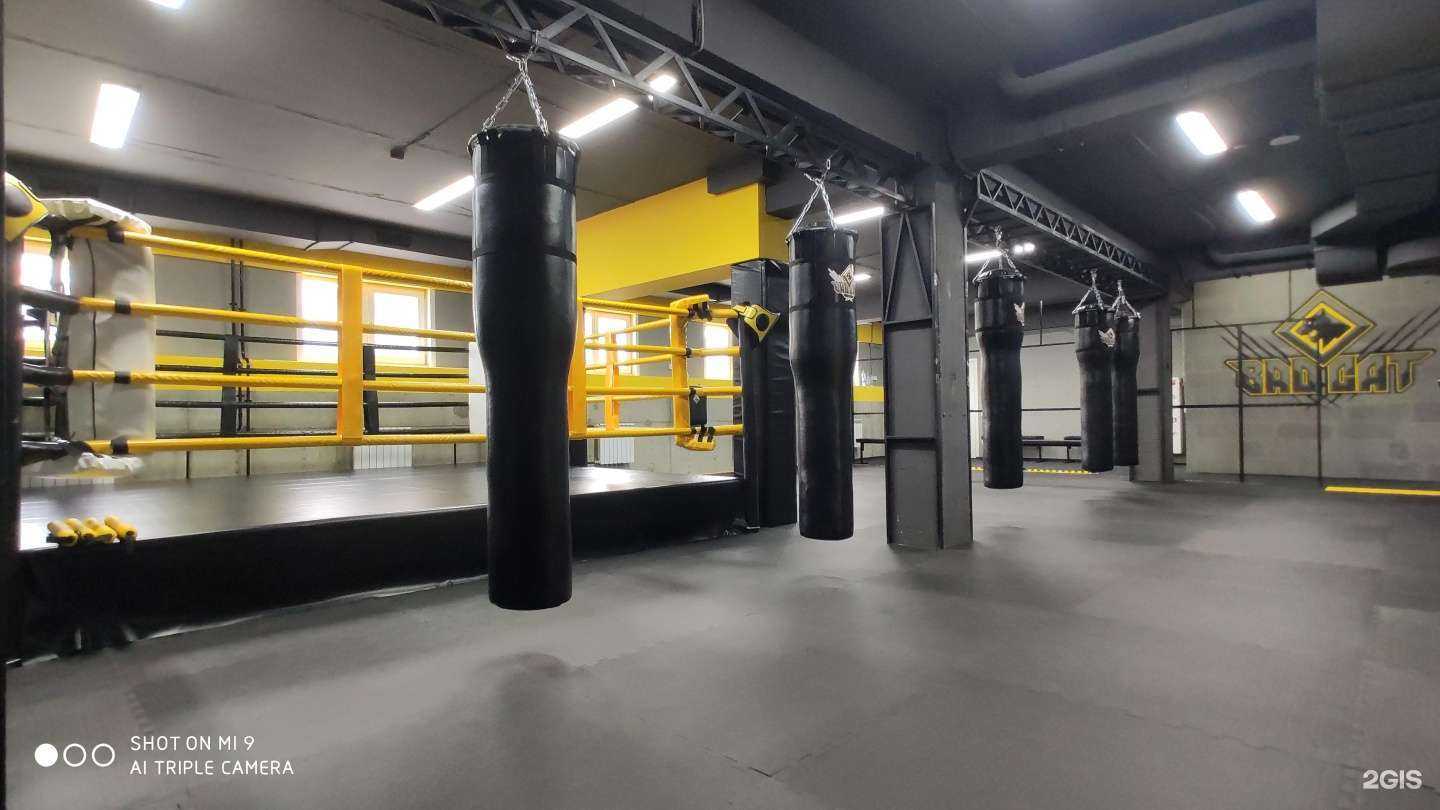 Отзывы на компанию Badcat в Новосибирске c фото