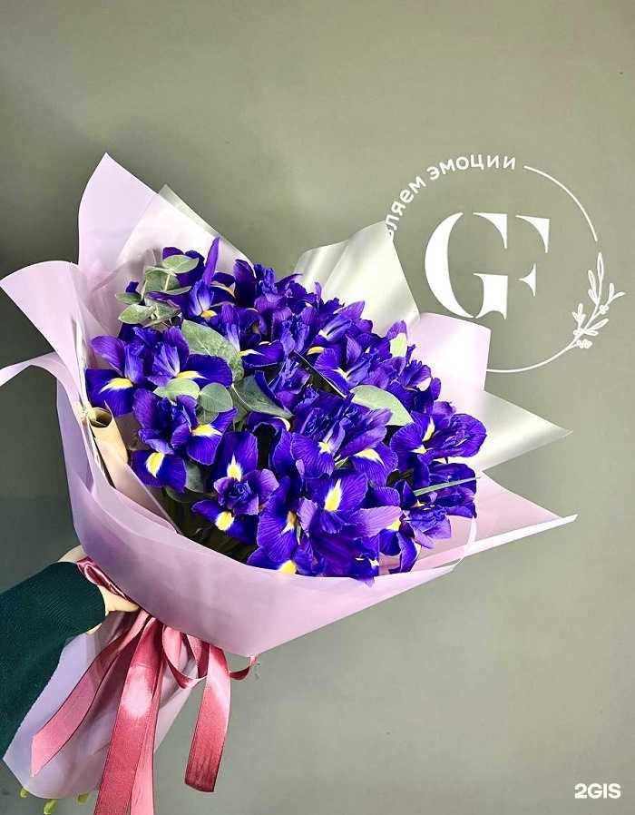 Отзывы на компанию Sochi flow в г. Сочи c фото