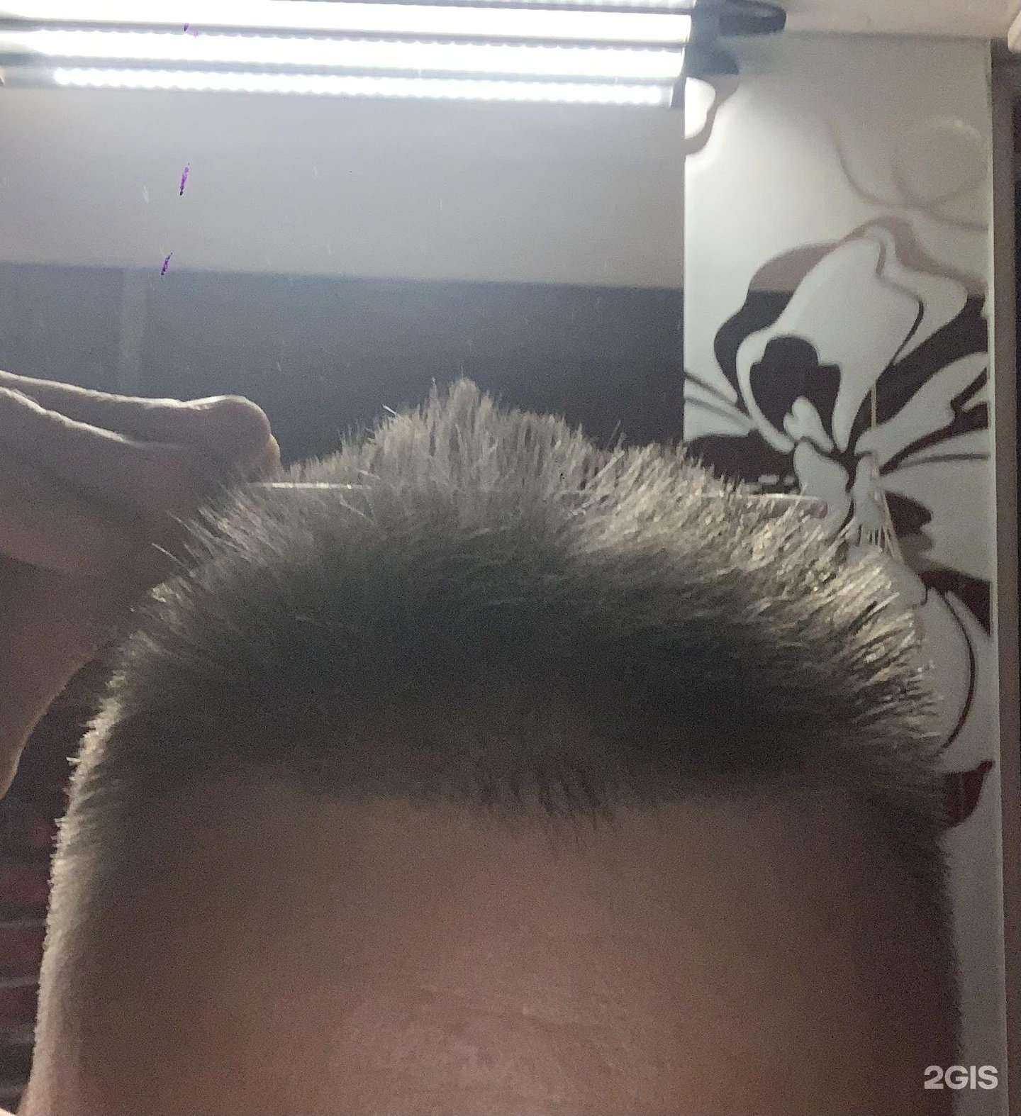 Отзывы на компанию Дива в г. Тверь c фото